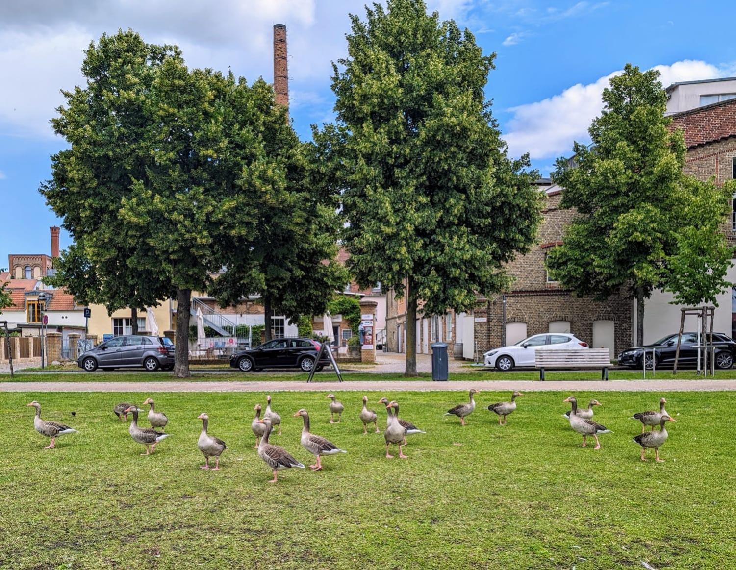 Lendelhaus & Historische Saftfabrik Werder Lejlighed Eksteriør billede